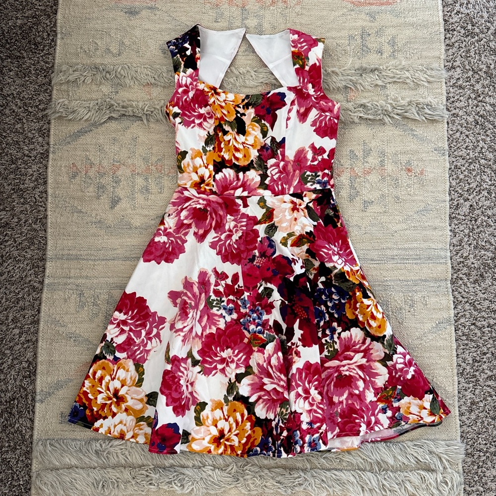 Fit and Flare Garden Party Dress